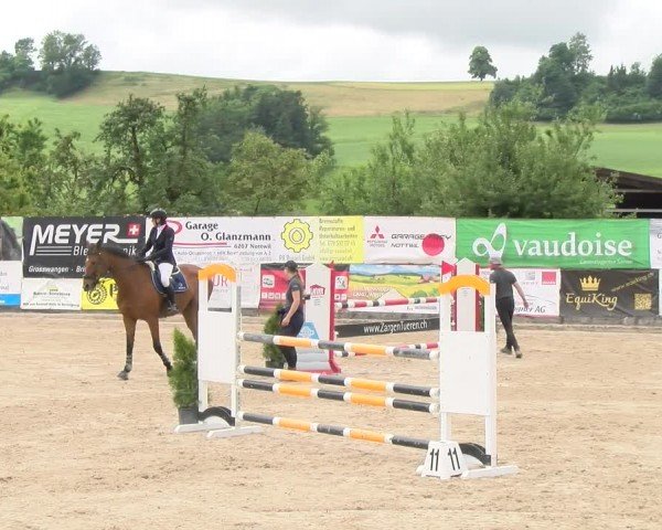 Reitturnier Ruswil 2024