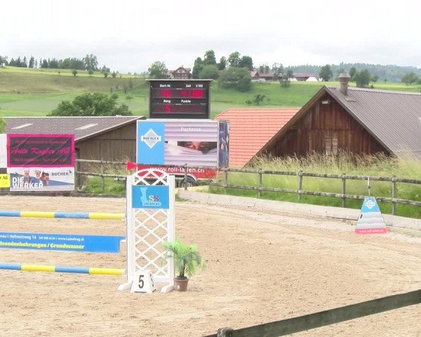 Reitturnier Ruswil 2024