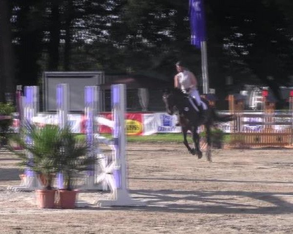 Datteln 2012
