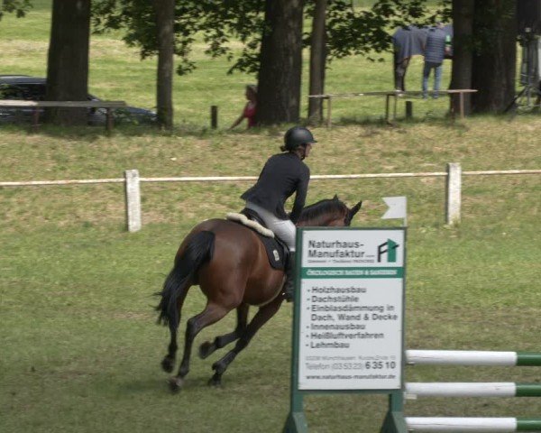 Reitturnier Sonnewalde 2024