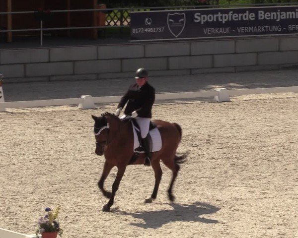 Reitturnier Dorfchemnitz 2024