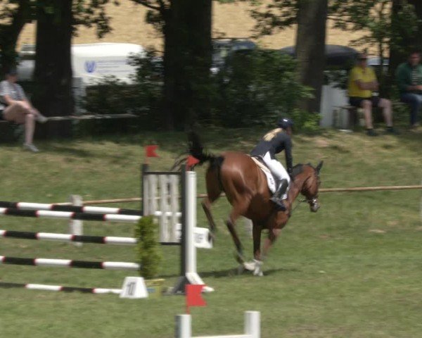 Reitturnier Sonnewalde 2024