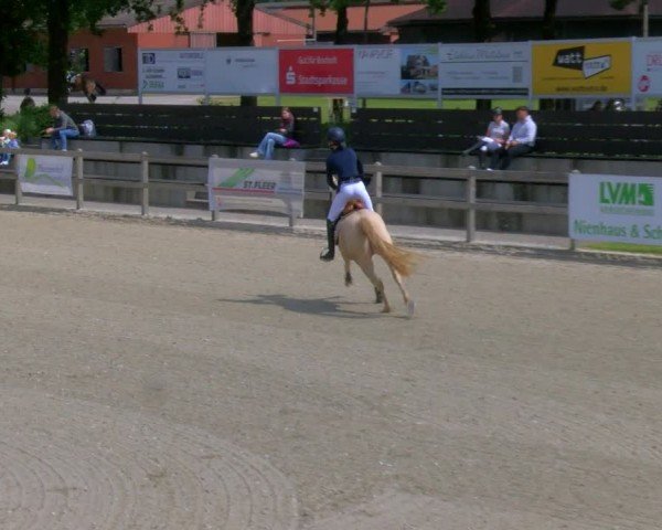 Reitturnier Barlo-Bocholt 2024