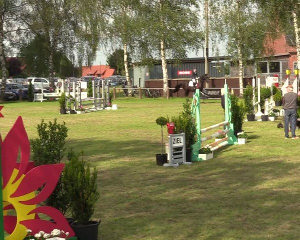 Reitturnier Hille 2024