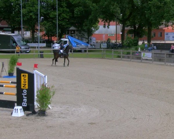 Reitturnier Barlo-Bocholt 2024