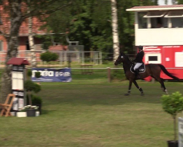 Reitturnier Hille 2024