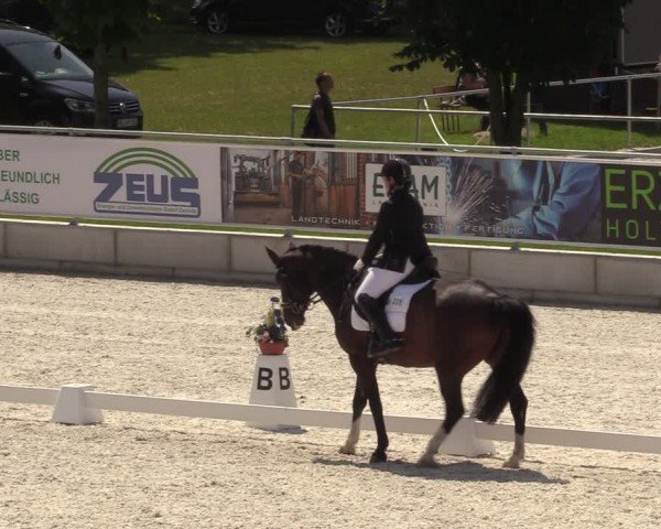 Reitturnier Dorfchemnitz 2024