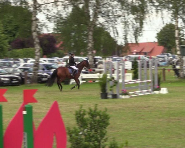 Reitturnier Hille 2024