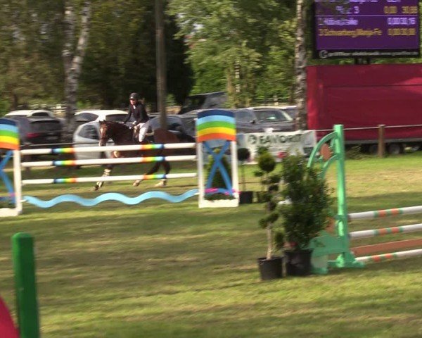 Reitturnier Hille 2024
