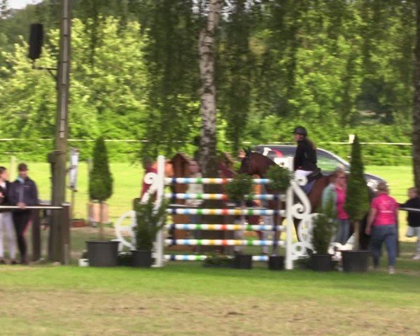 Reitturnier Hille 2024