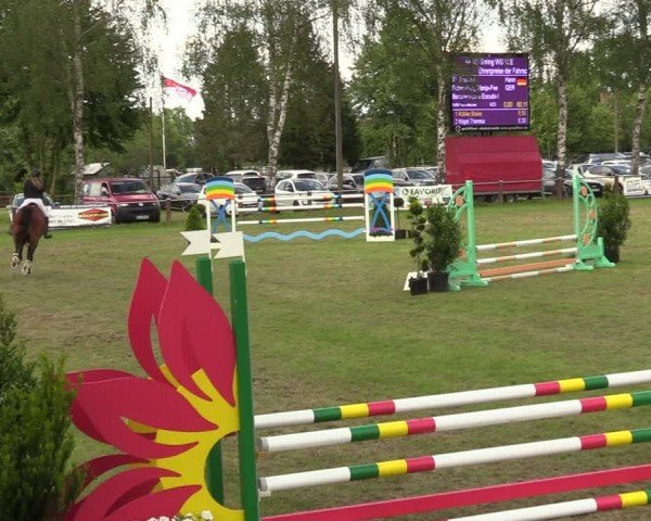 Reitturnier Hille 2024