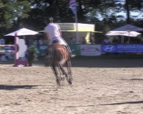 Datteln 2012