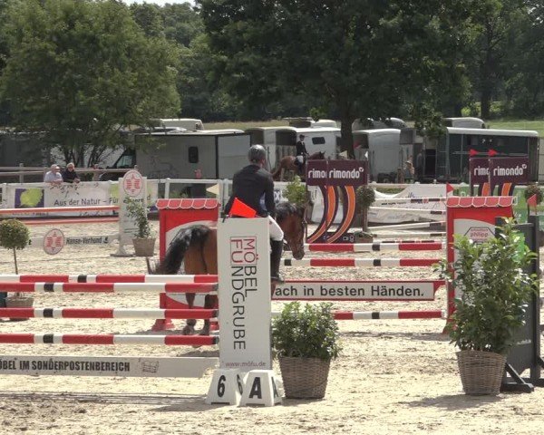 Reitturnier Brockhöfe 2024