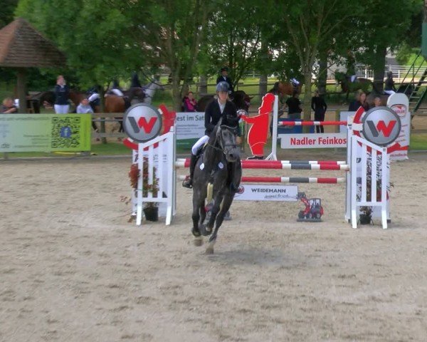 Reitturnier Barlo-Bocholt 2024
