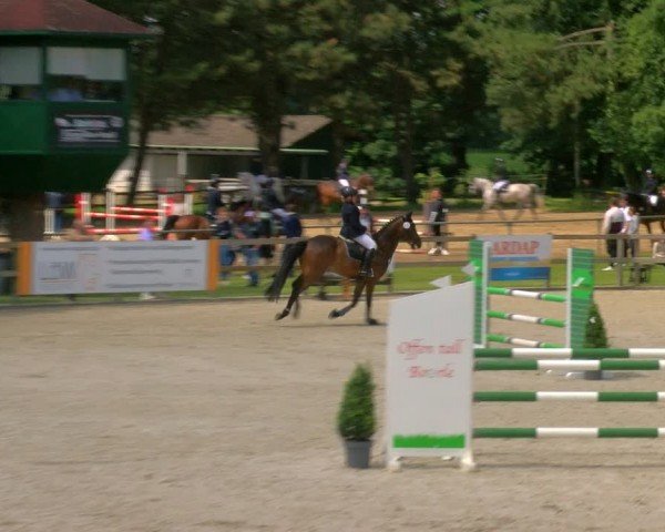 Reitturnier Barlo-Bocholt 2024