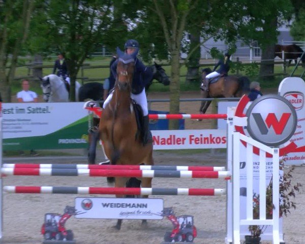 Reitturnier Barlo-Bocholt 2024