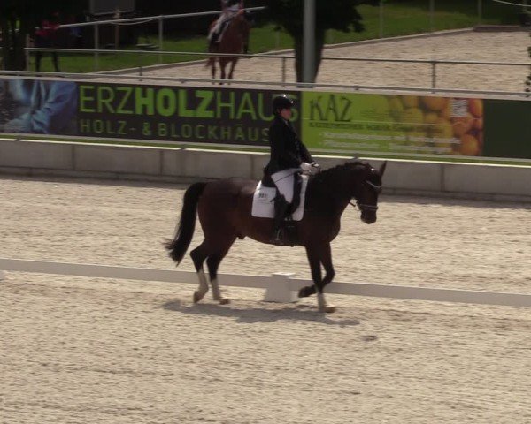 Reitturnier Dorfchemnitz 2024