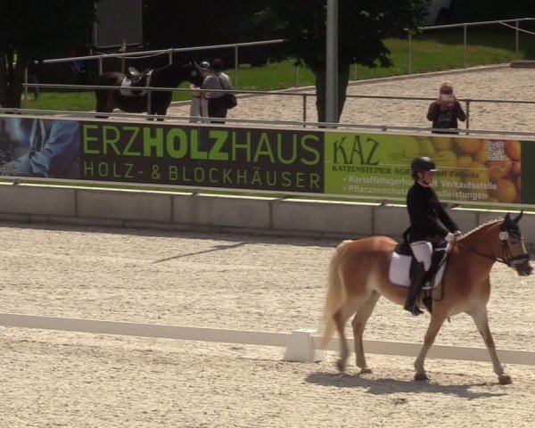 Reitturnier Dorfchemnitz 2024