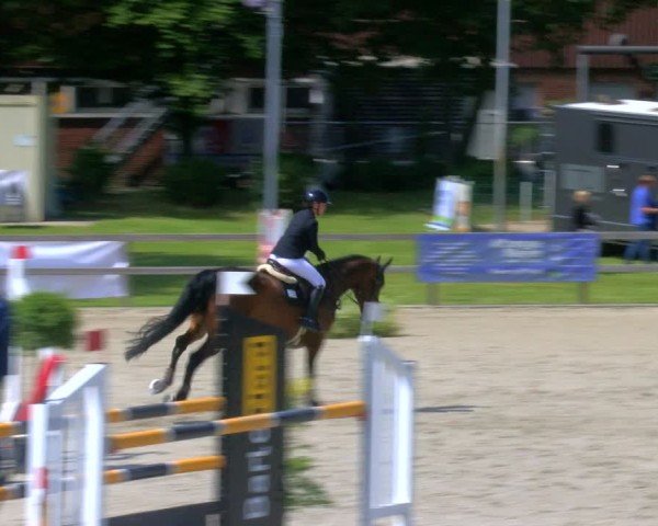 Reitturnier Barlo-Bocholt 2024