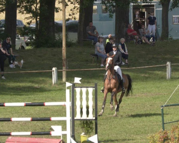 Reitturnier Sonnewalde 2024