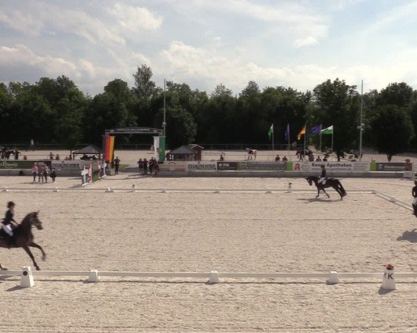 Reitturnier Dorfchemnitz 2024