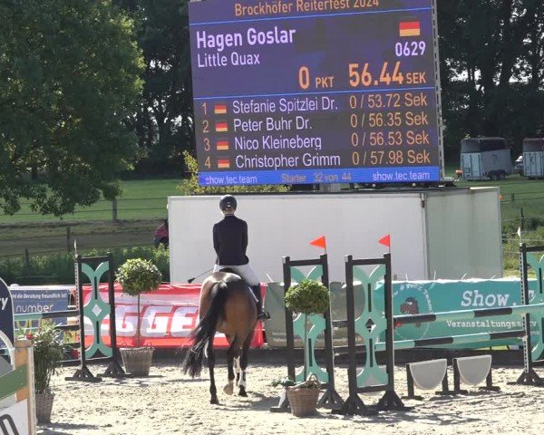 Reitturnier Brockhöfe 2024