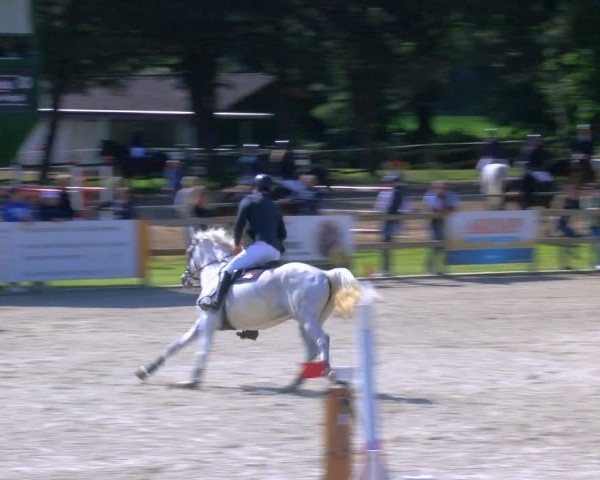 Reitturnier Barlo-Bocholt 2024