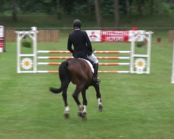 Gardelegen 2012