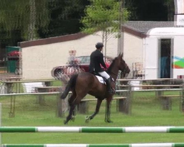 Gardelegen 2012
