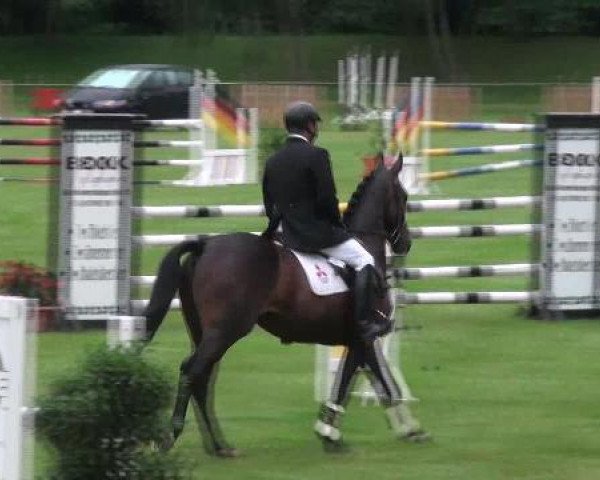 Gardelegen 2012