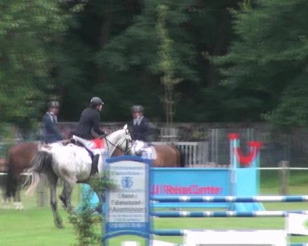 Gardelegen 2012
