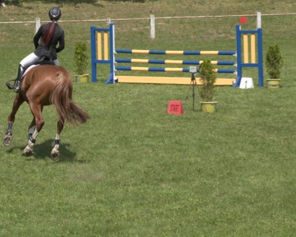 Reitturnier Sonnewalde 2024