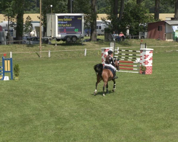 Reitturnier Sonnewalde 2024