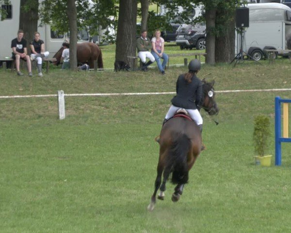 Reitturnier Sonnewalde 2024