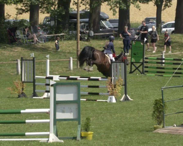 Reitturnier Sonnewalde 2024
