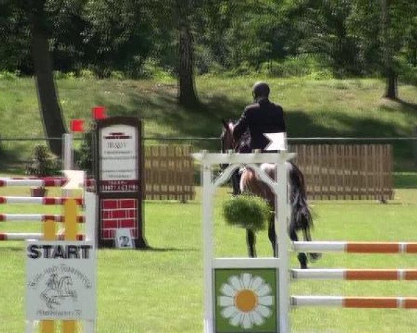 Gardelegen 2012