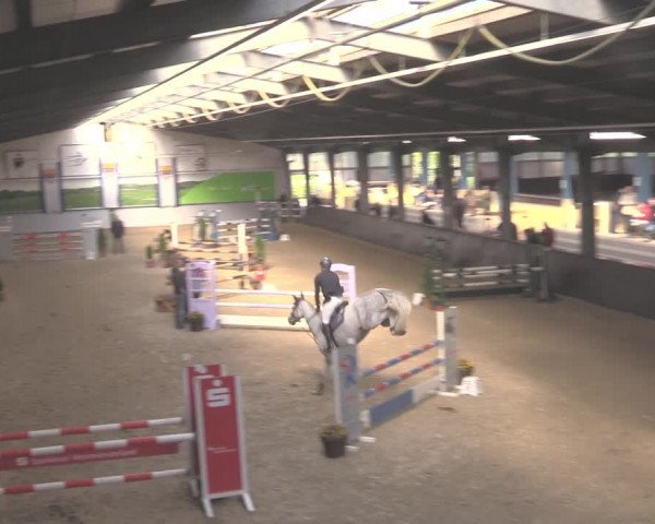 Reitturnier Legden 2021