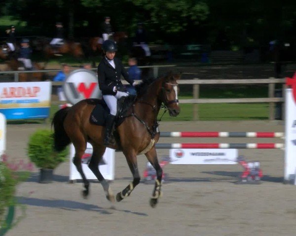 Reitturnier Barlo-Bocholt 2024