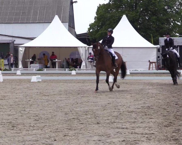 Reitturnier Sörup 2024