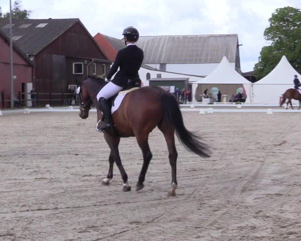 Reitturnier Sörup 2024