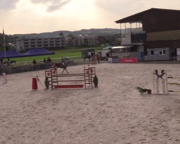 Reitturnier Fehraltorf 2024