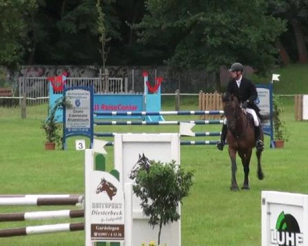 Gardelegen 2012