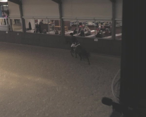 Reitturnier Legden 2021