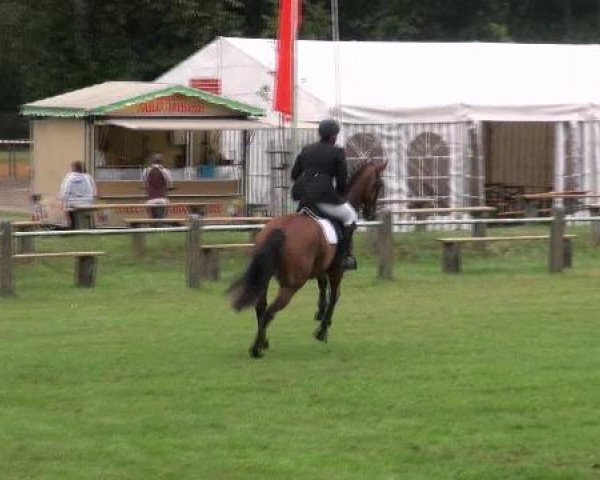 Gardelegen 2012