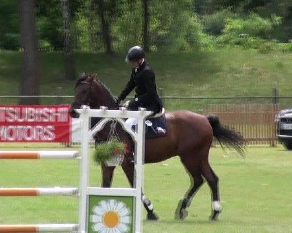 Gardelegen 2012