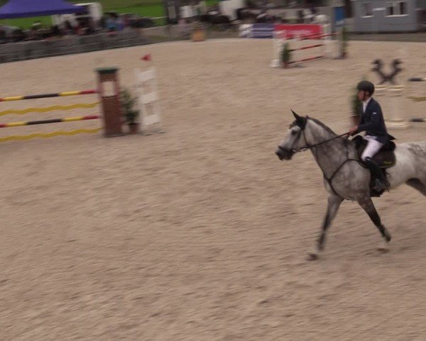 Reitturnier Fehraltorf 2024
