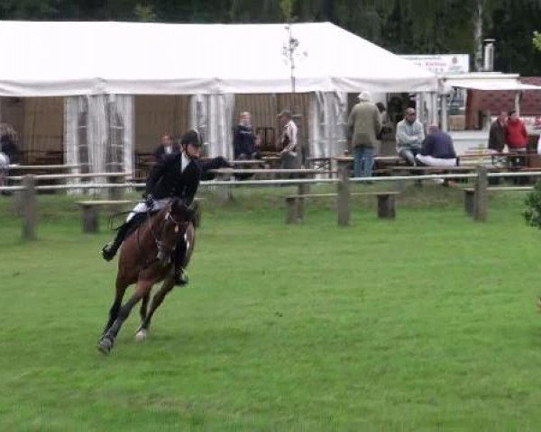 Gardelegen 2012