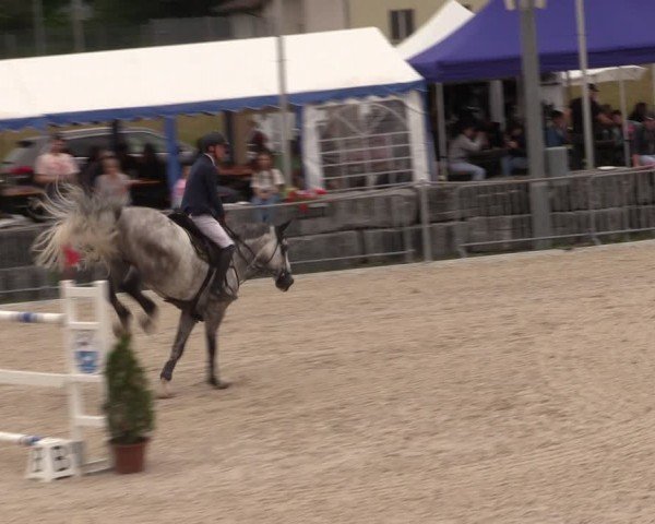 Reitturnier Fehraltorf 2024