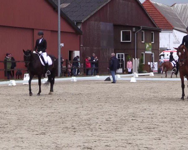 Reitturnier Sörup 2024