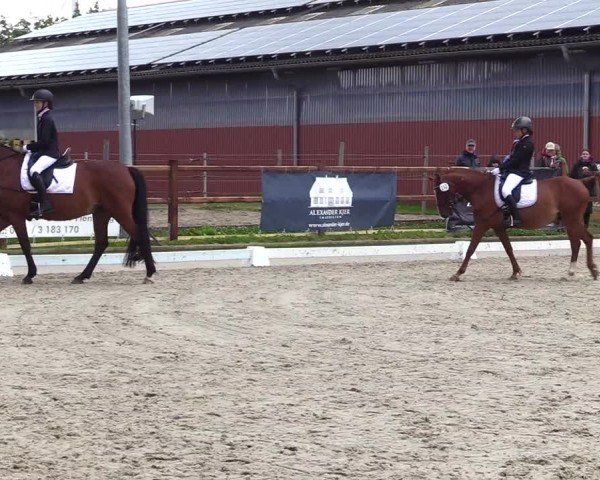 Reitturnier Sörup 2024